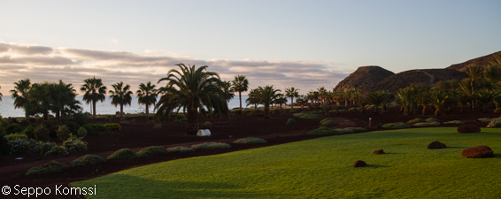 IMG_8279__Las_Playitas_Fuerteventura